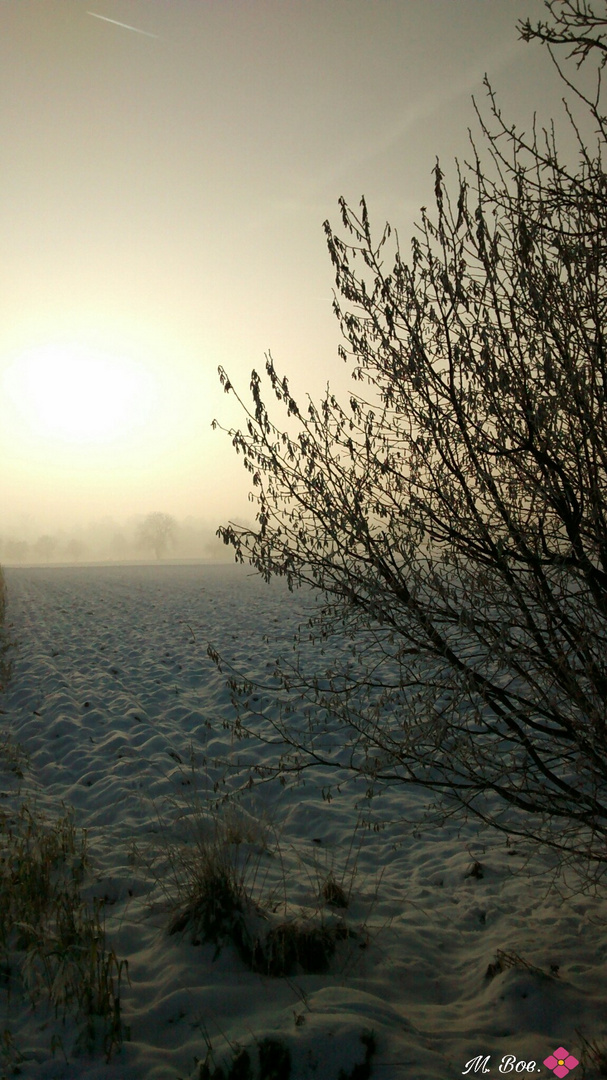 Morgensonne im winterlichen Nebel