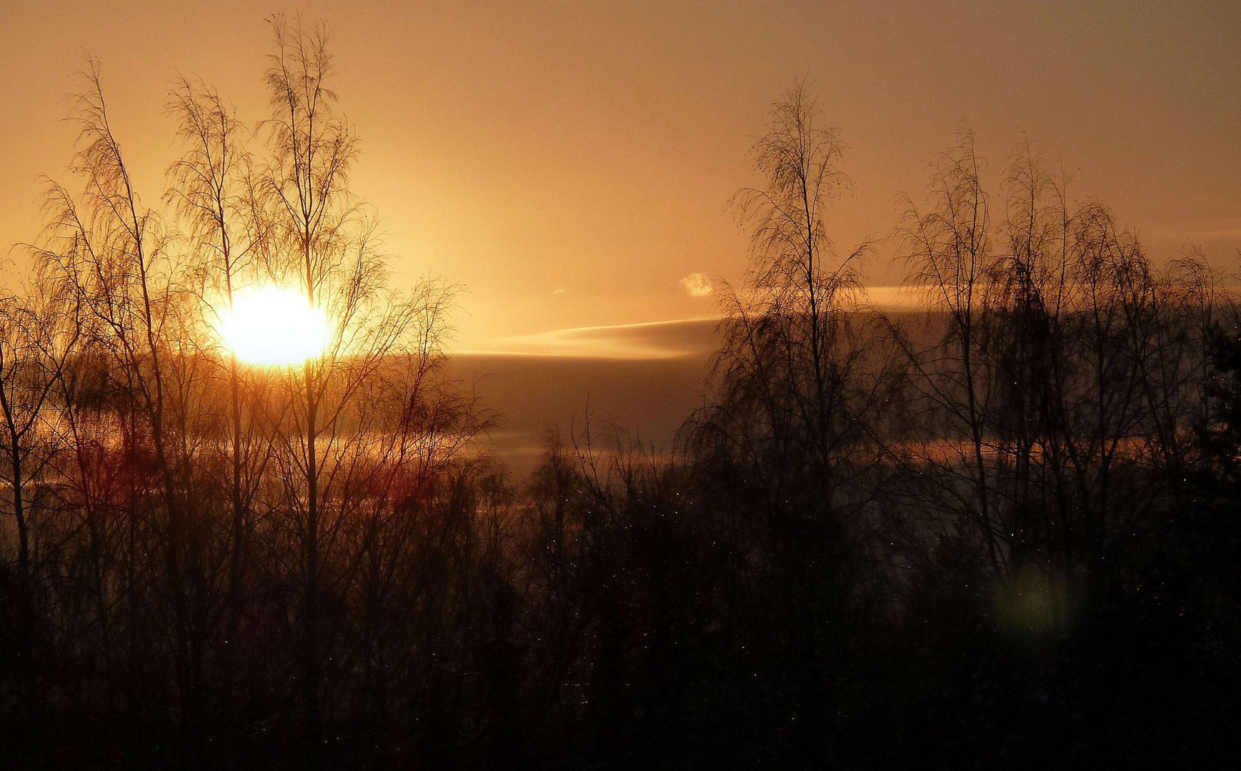 Morgensonne- Impressionen aus dem Fenster