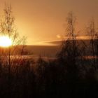 Morgensonne- Impressionen aus dem Fenster