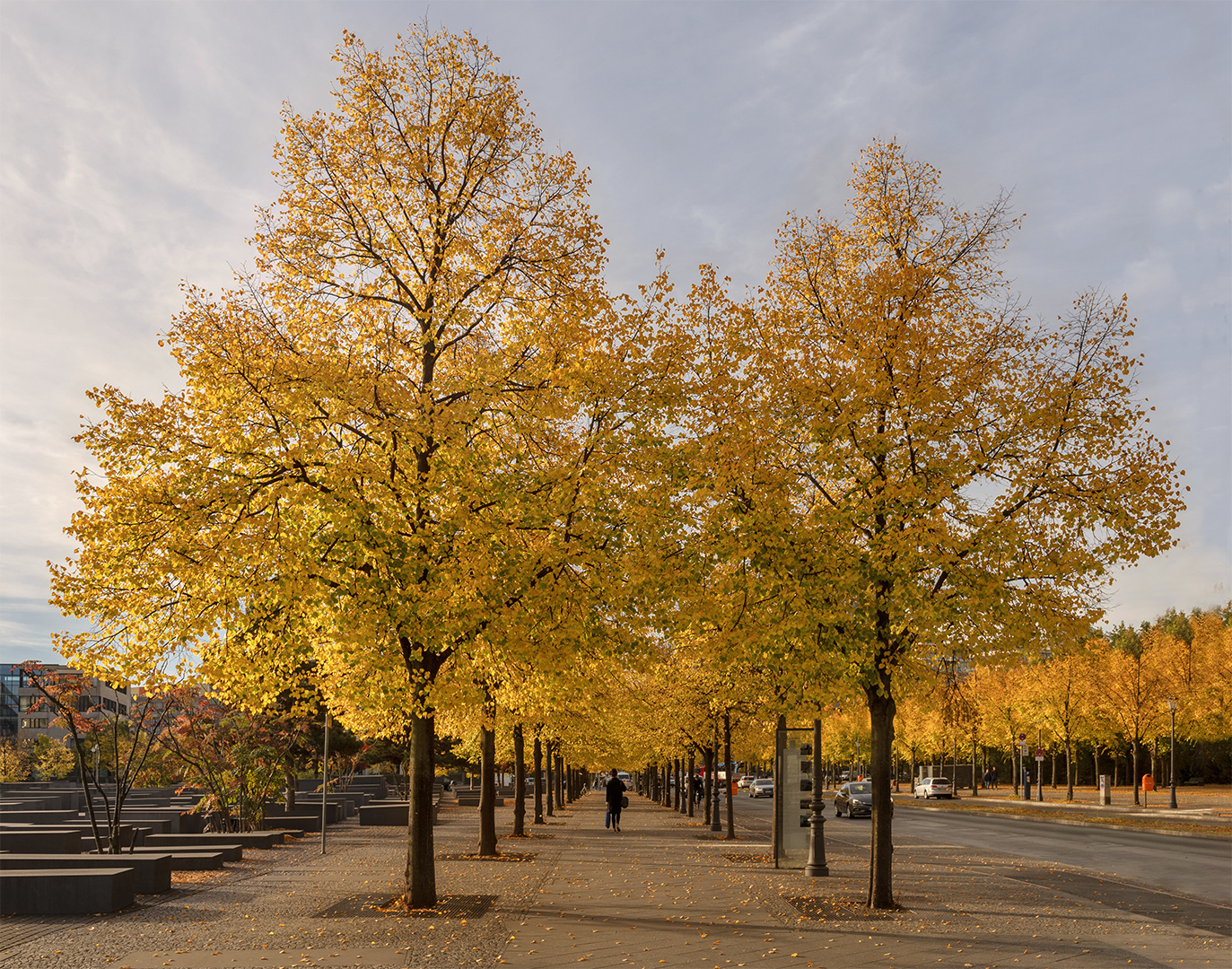 Morgensonne in Berlin Mitte