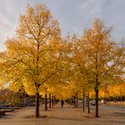 Morgensonne in Berlin Mitte