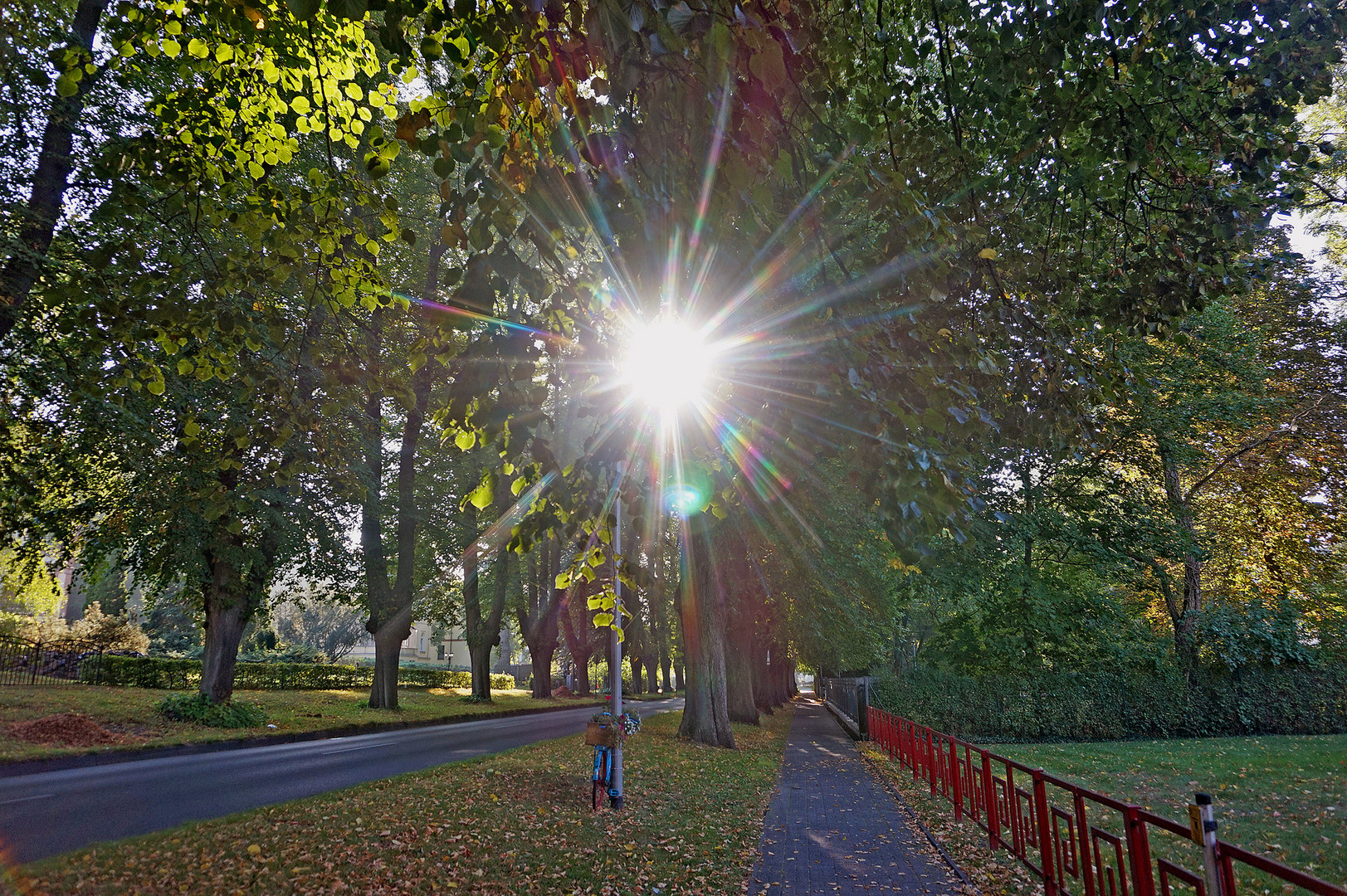 Morgensonne in der Dammchaussee