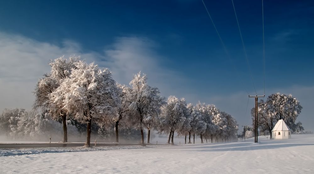 Morgensonne in der Eisallee