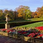 Morgensonne in der Gothaer Orangerie