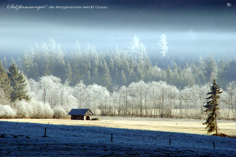 Morgensonne in Gosau