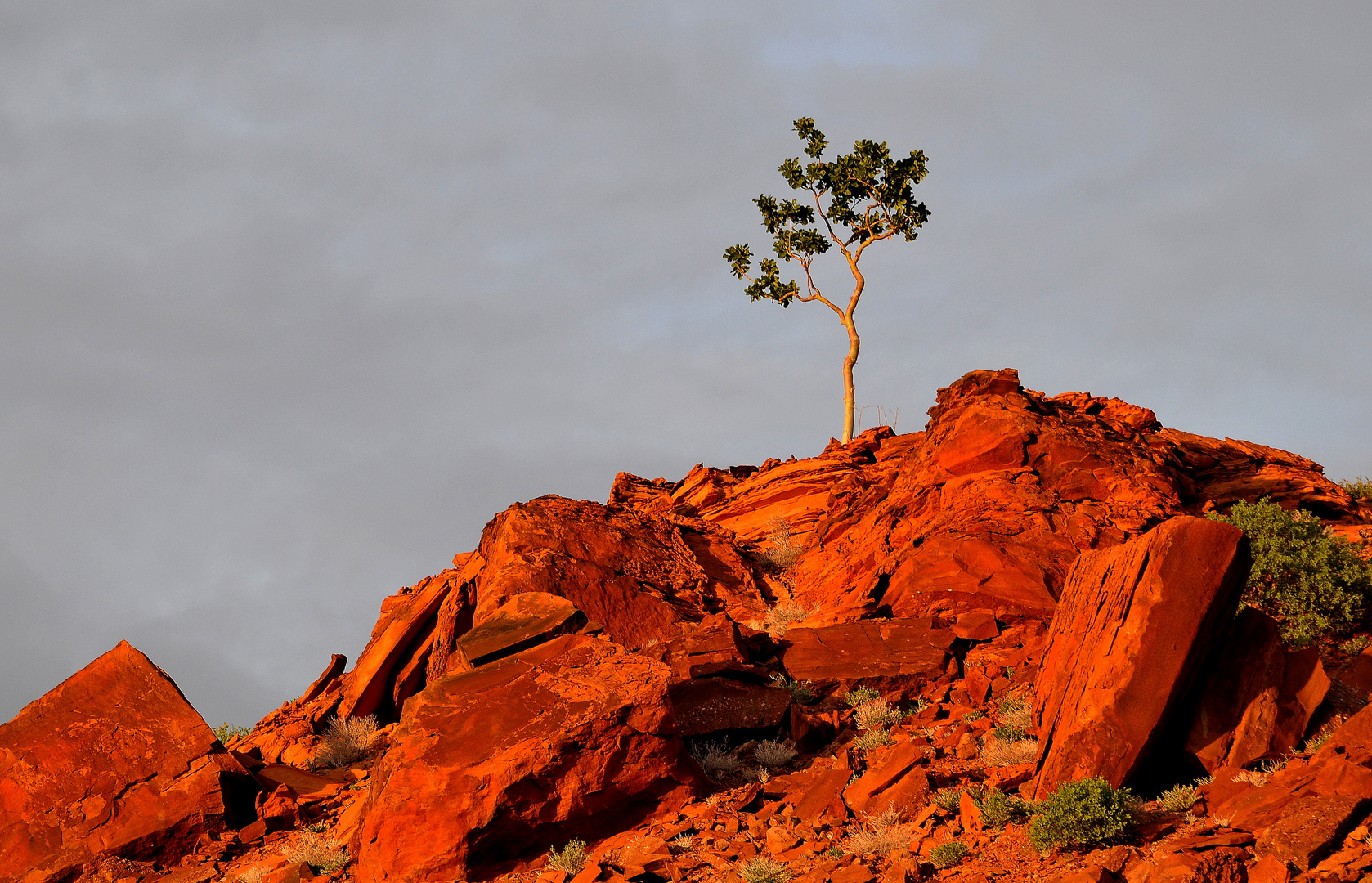 Morgensonne in Namibia