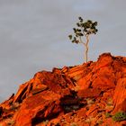 Morgensonne in Namibia