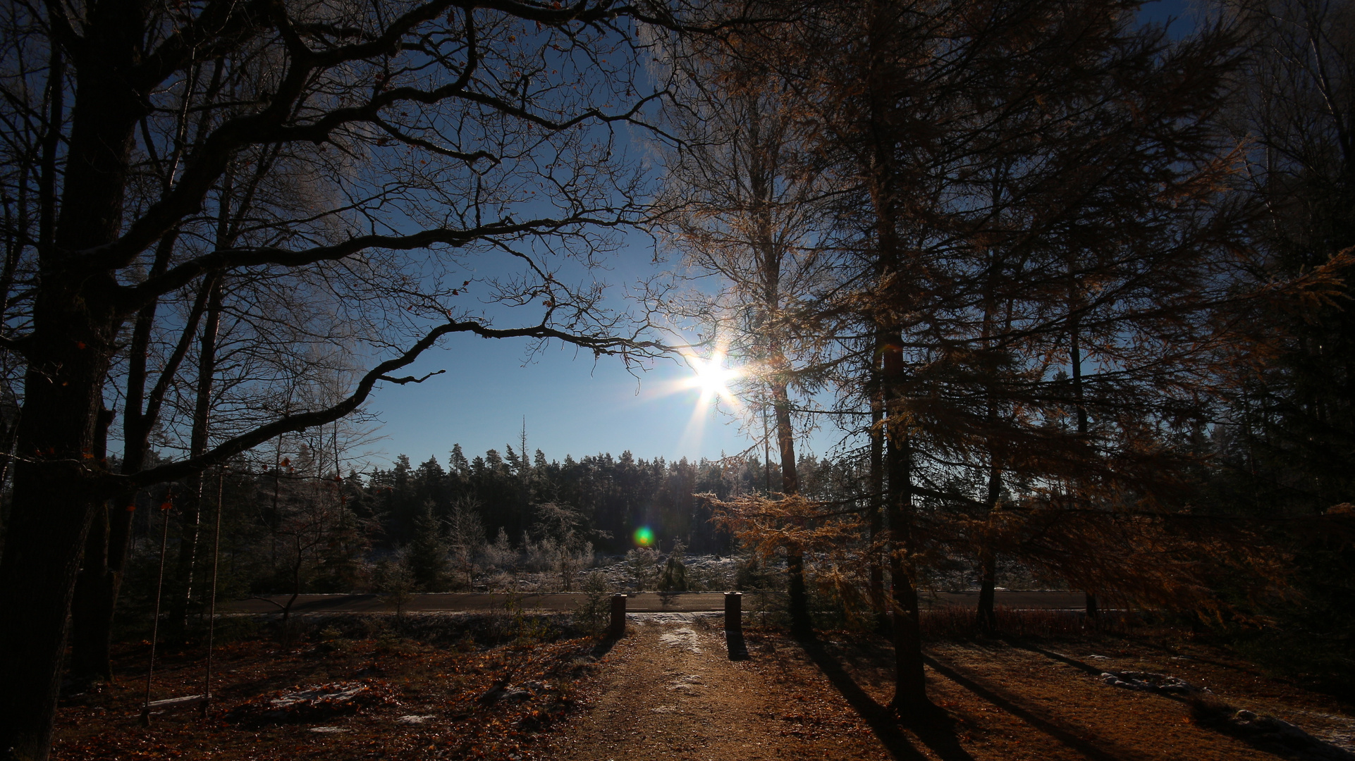 Morgensonne  in Schweden