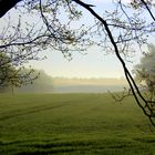 Morgensonne kämpft gegen Morgennebel