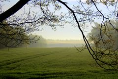 Morgensonne kämpft gegen Morgennebel