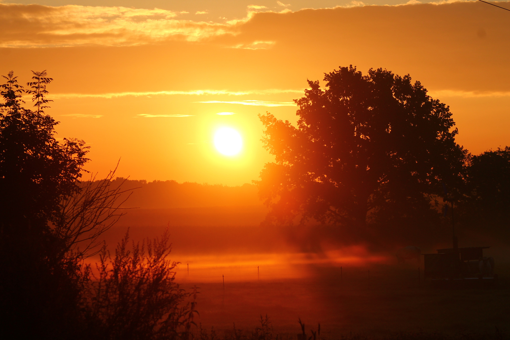 Morgensonne mit Nebel