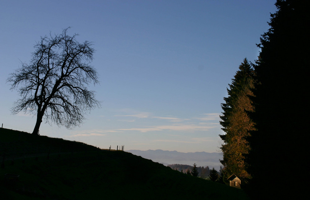 MorgenSonne Stierenberg Rickenbach