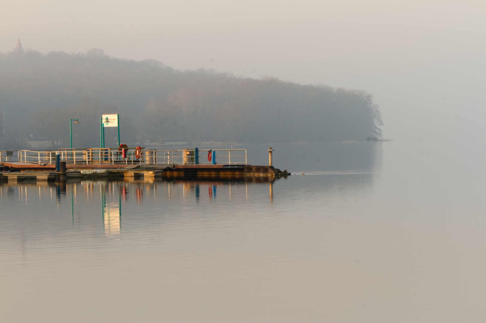 -Morgensonne-trift auf Frühnebel -