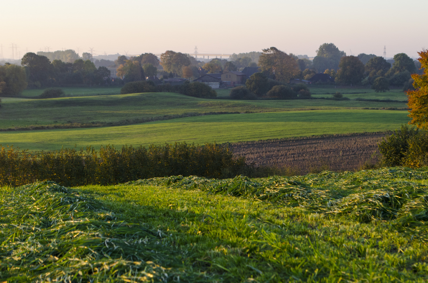 Morgensonne über dem Feld 