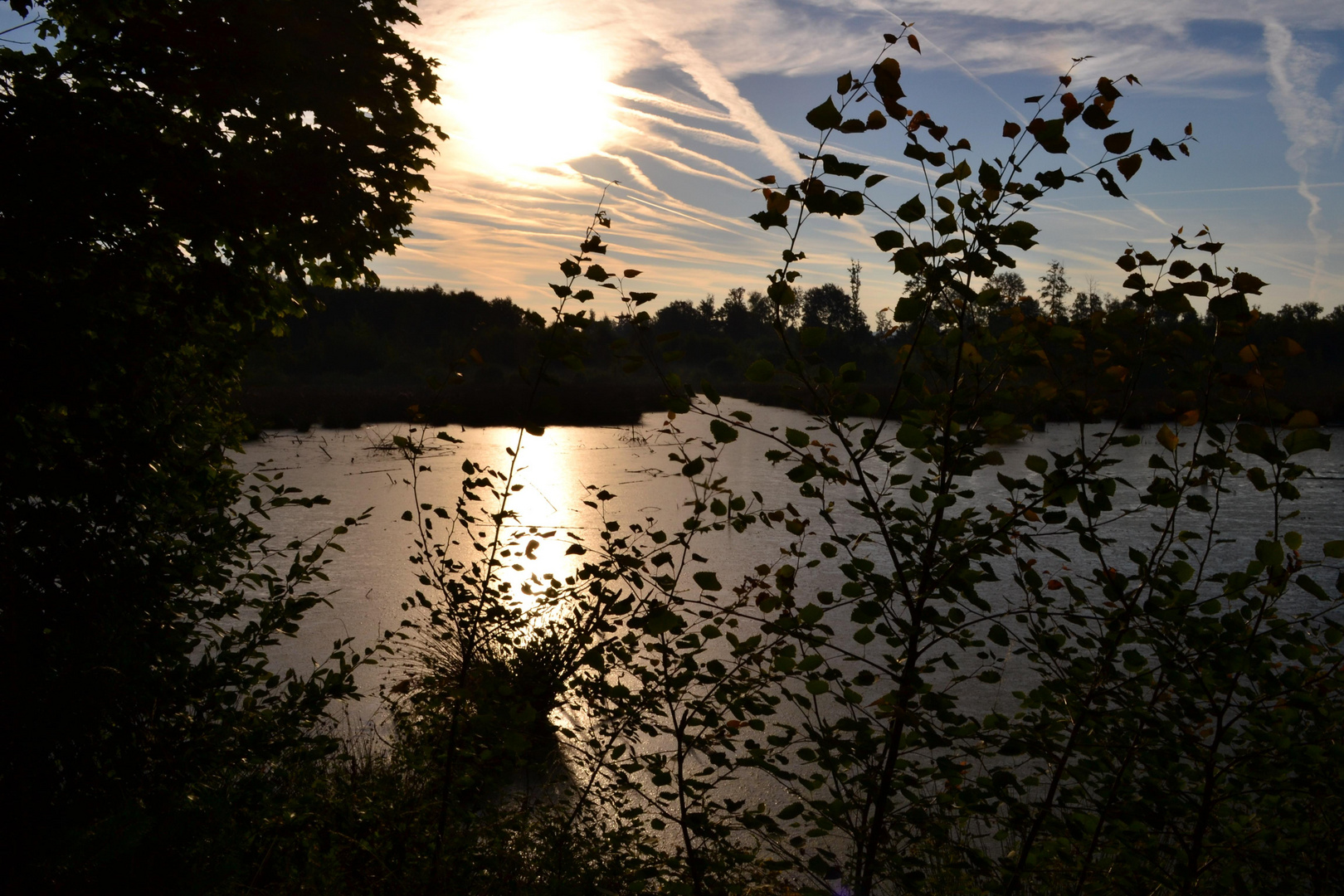 Morgensonne über dem Moor - 6. August 2015