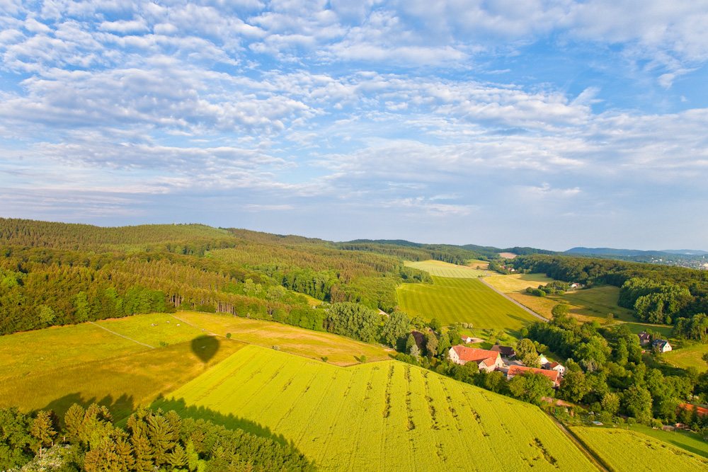 Morgensonne über dem Wald