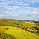 Morgensonne über dem Wald