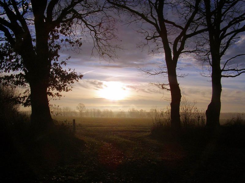 Morgensonne über den Feldern...