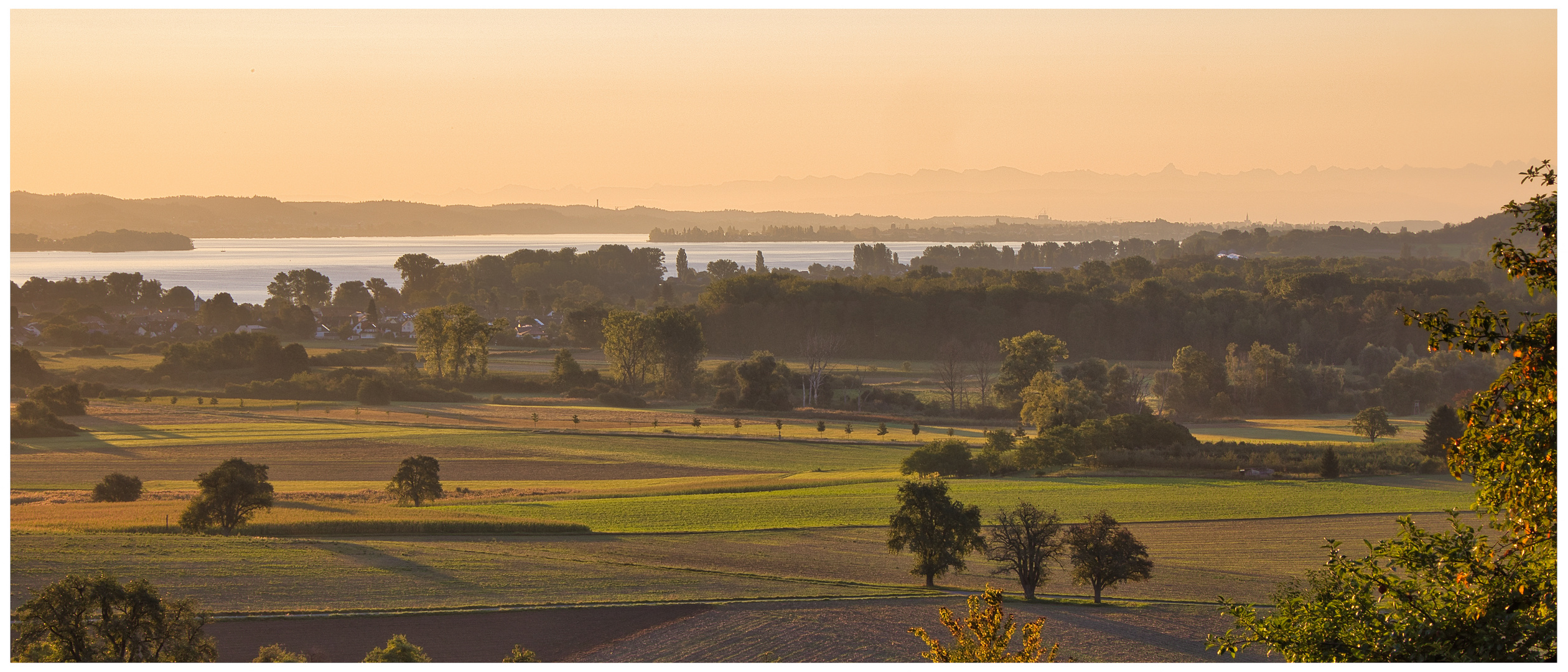 Morgensonne über der Höri