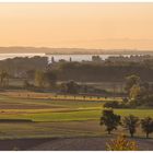 Morgensonne über der Höri