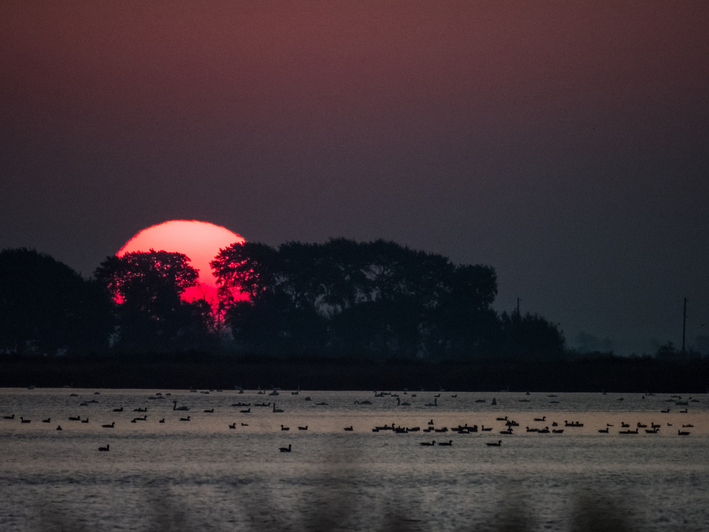 Morgensonne über Zingst