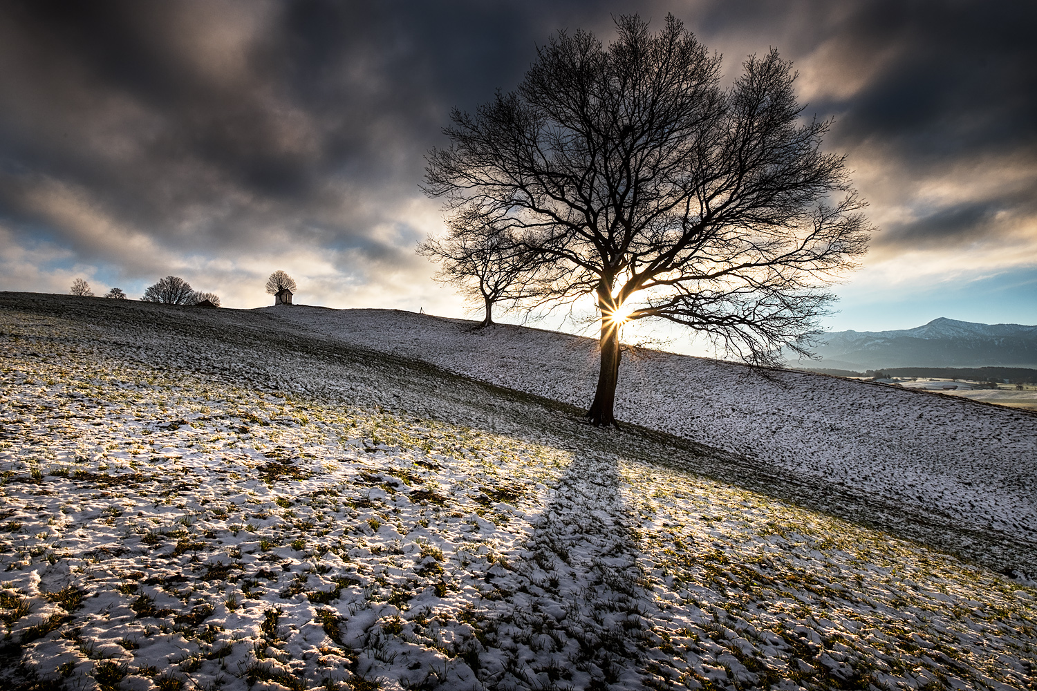 morgensonne und hochnebel