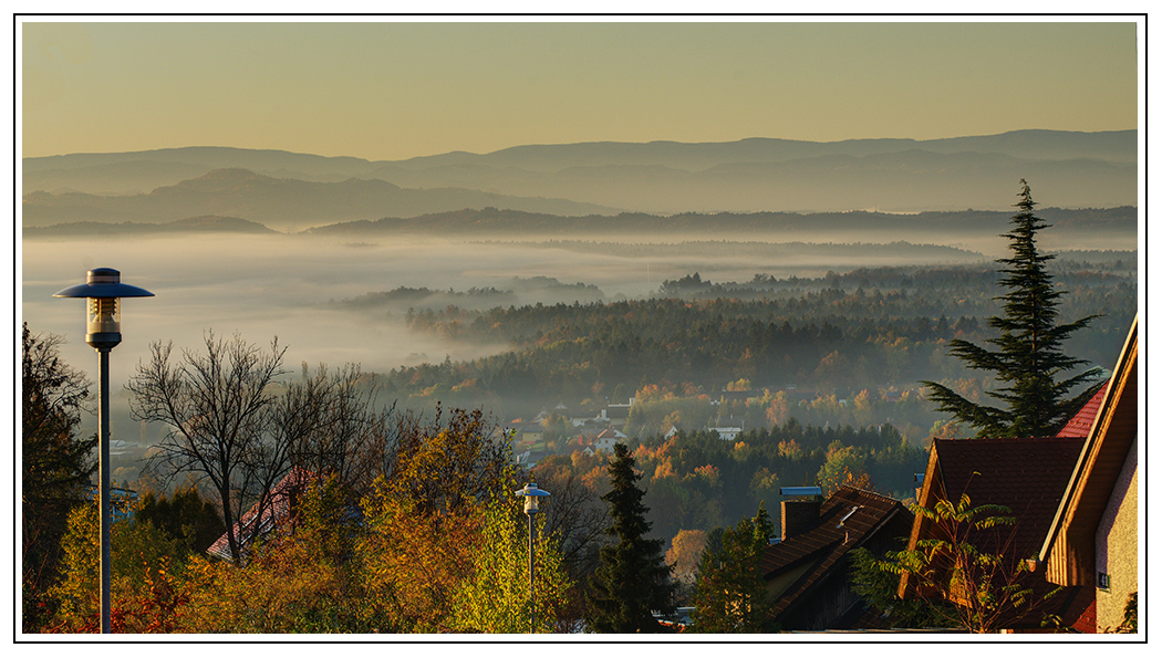 Morgensonne und Nebel