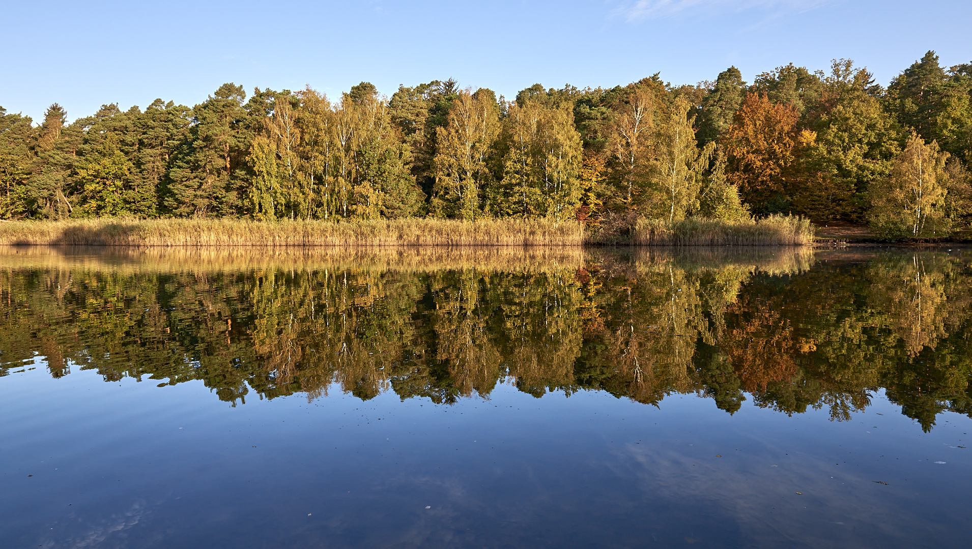 Morgensonne und Stille am Vogelwoog.