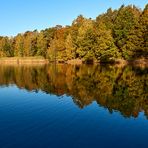 Morgensonne und Stille am Vogelwoog, mein Beitrag zum Spiegeltag am 08.06.2021