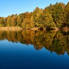 Morgensonne und Stille am Vogelwoog, mein Beitrag zum Spiegeltag am 08.06.2021