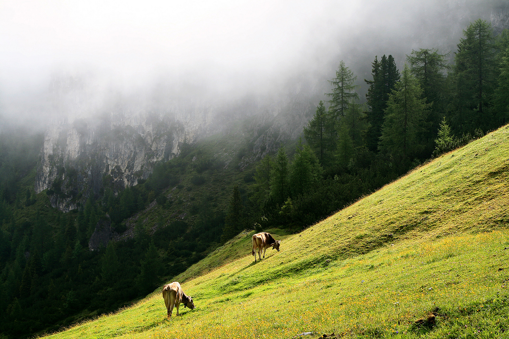 Morgensonne vertreibt den Nebel im Anstieg