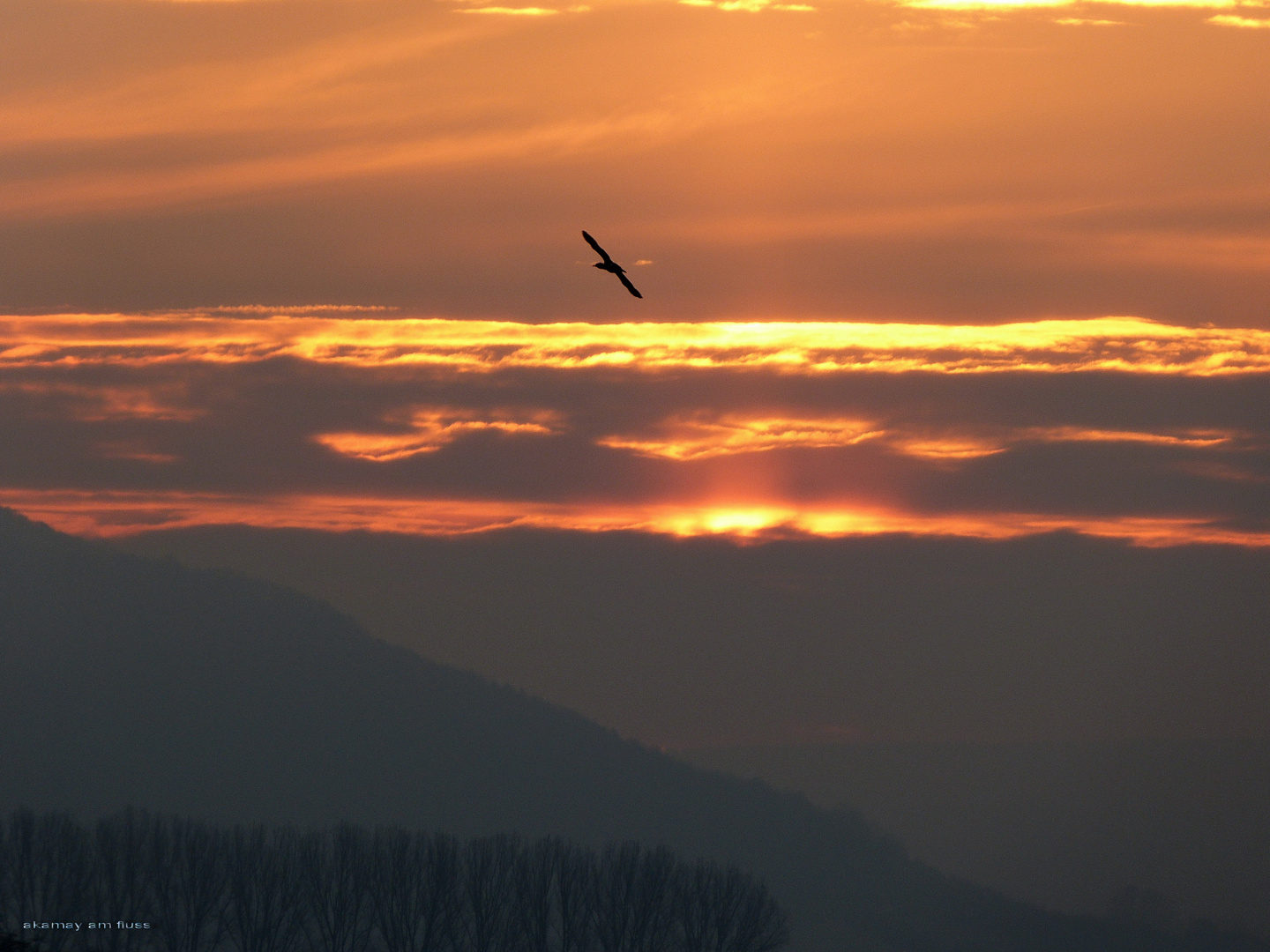 Morgensonne verzaubert Himmel