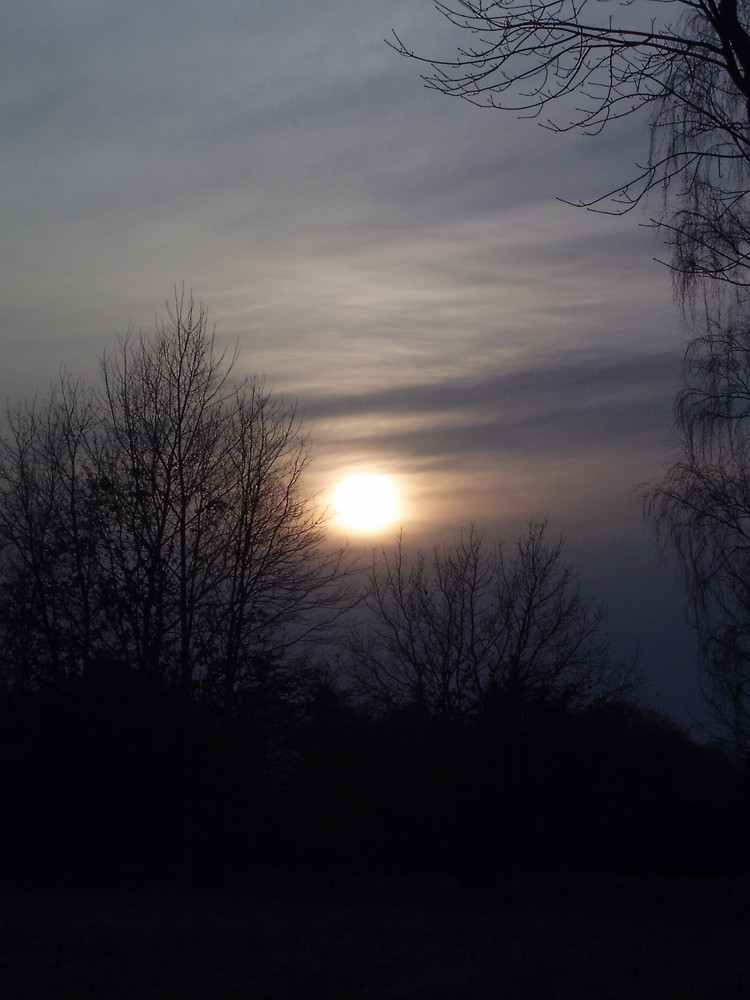 Morgensonne zwischen Nebelschwaden