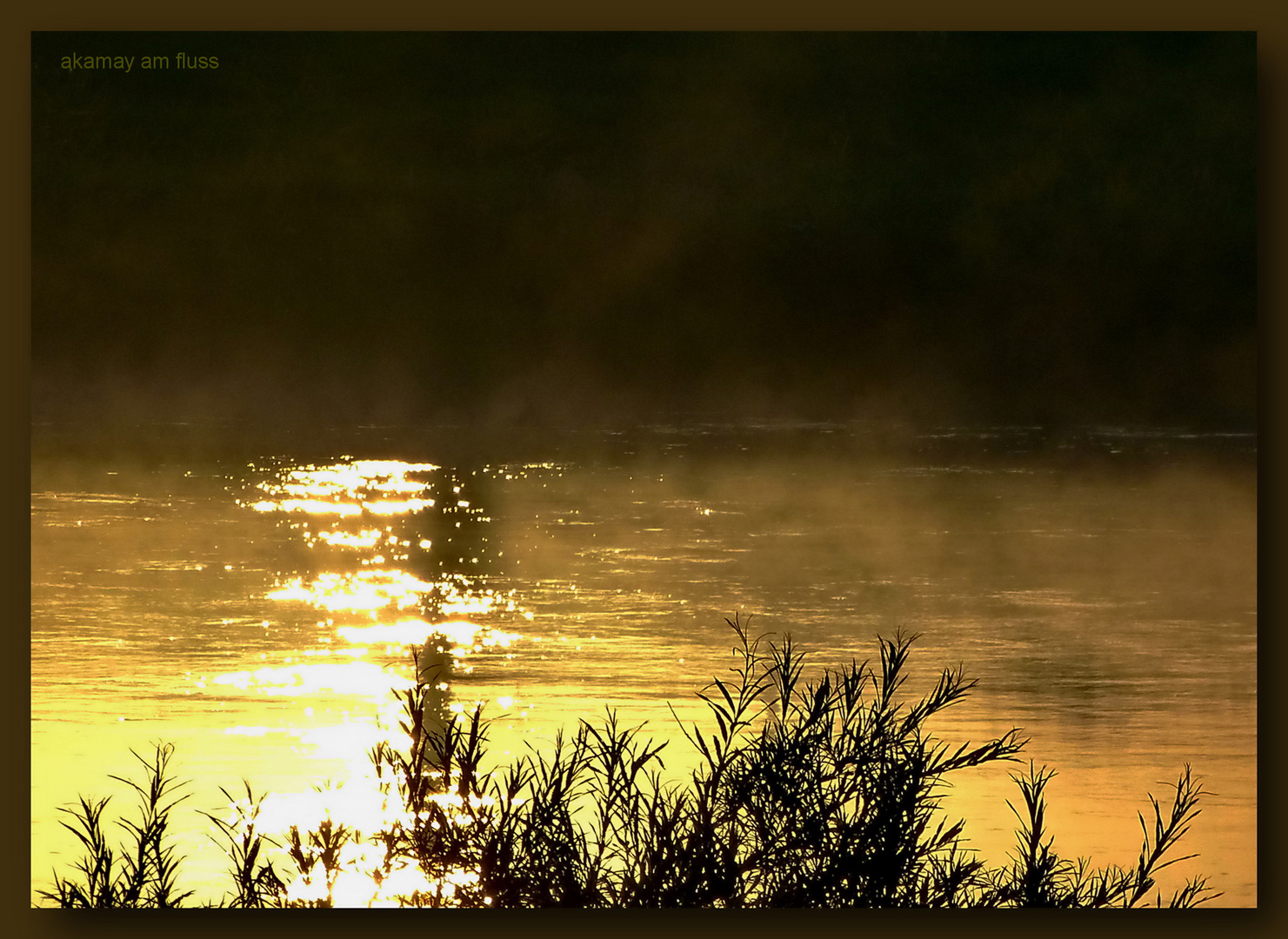 Morgensonne+Flussnebel im Frühherbst