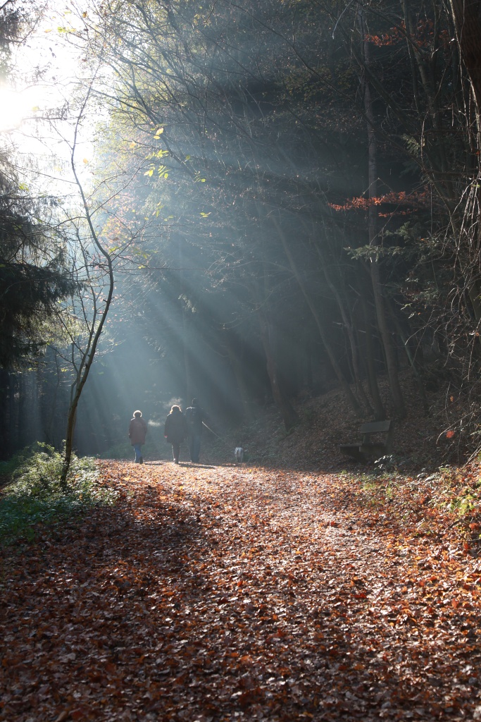 Morgensparziergang