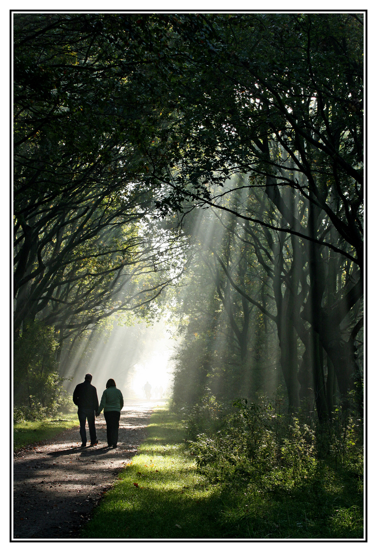 Morgenspatziergang