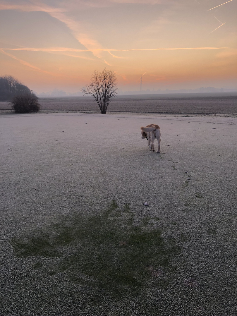 Morgenspaziergang 