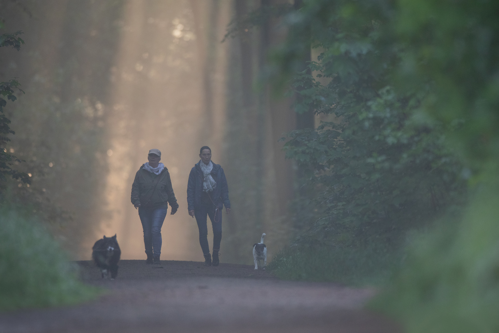 Morgenspaziergang