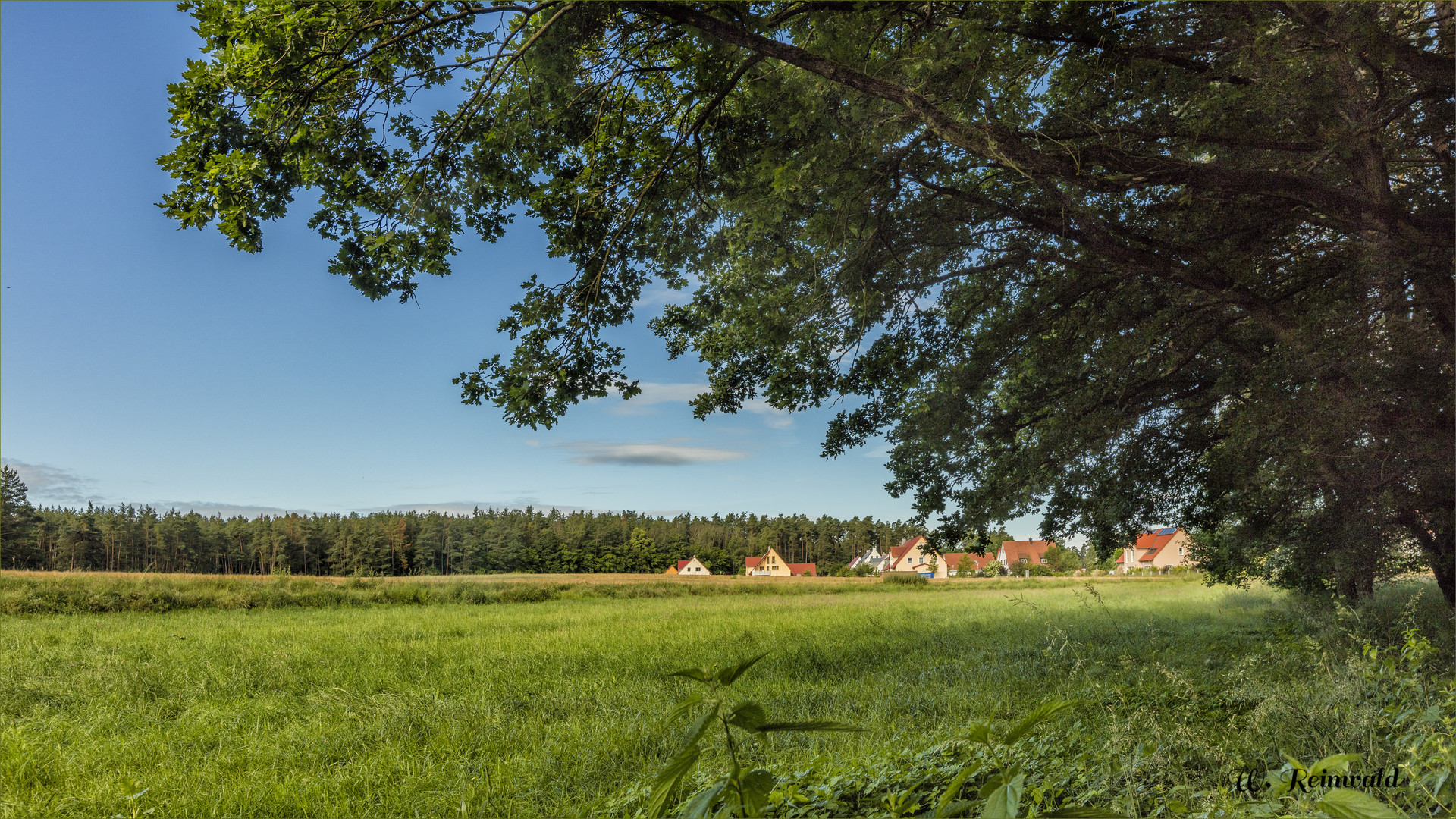 Morgenspaziergang - 1