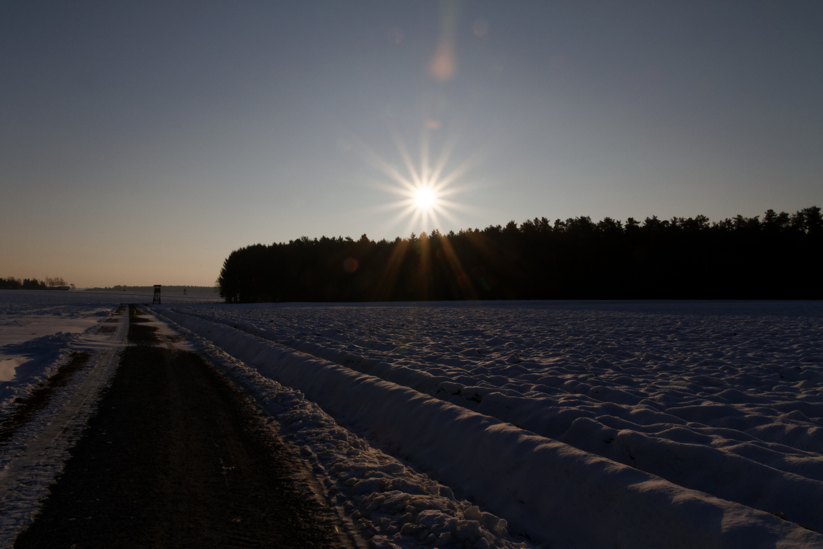 Morgenspaziergang 1