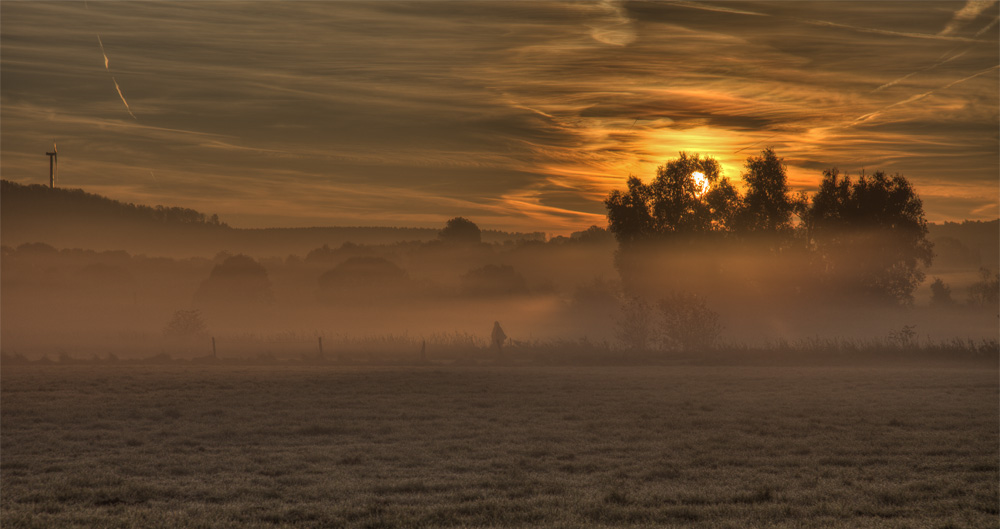 Morgenspaziergang