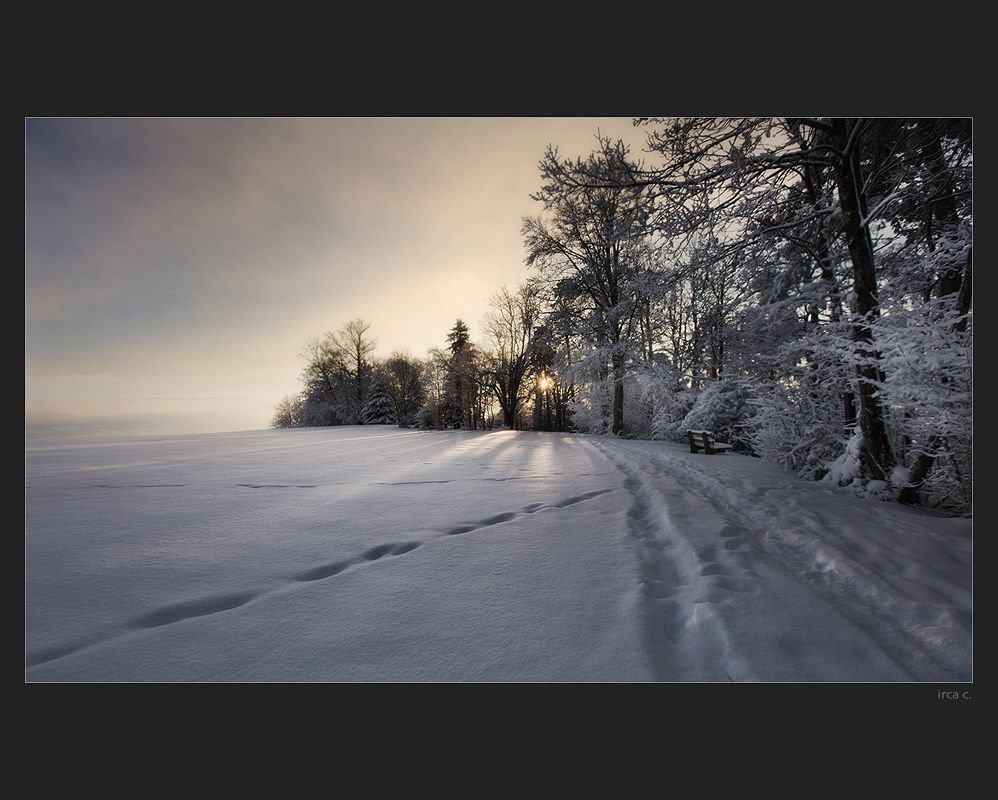 Morgenspaziergang