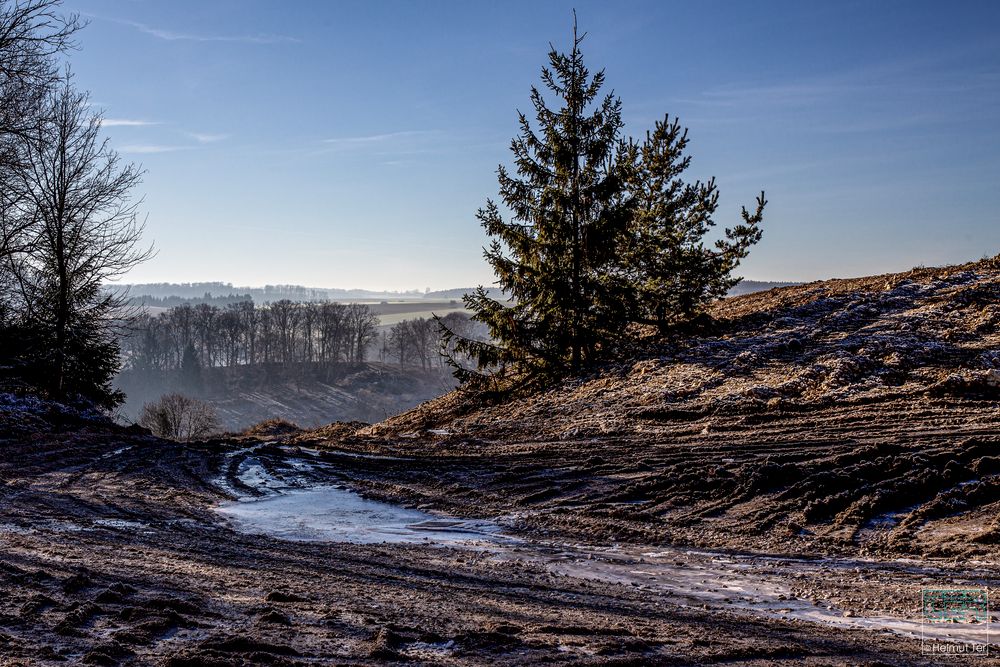 Morgenspaziergang