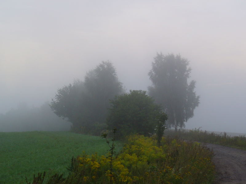 Morgenspaziergang