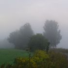 Morgenspaziergang