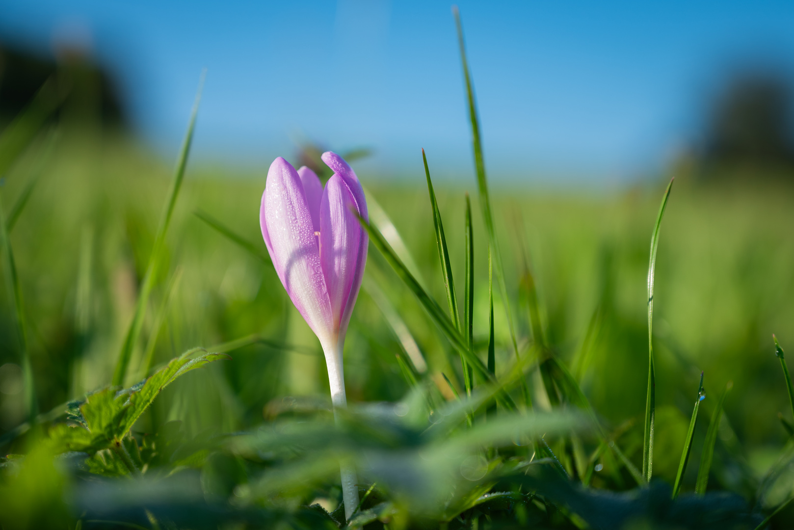 Morgenspaziergang