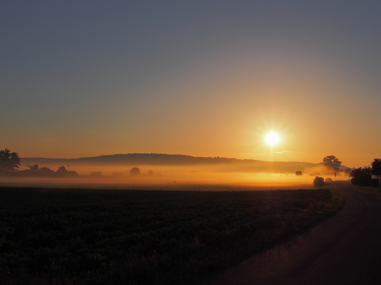 Morgenspaziergang