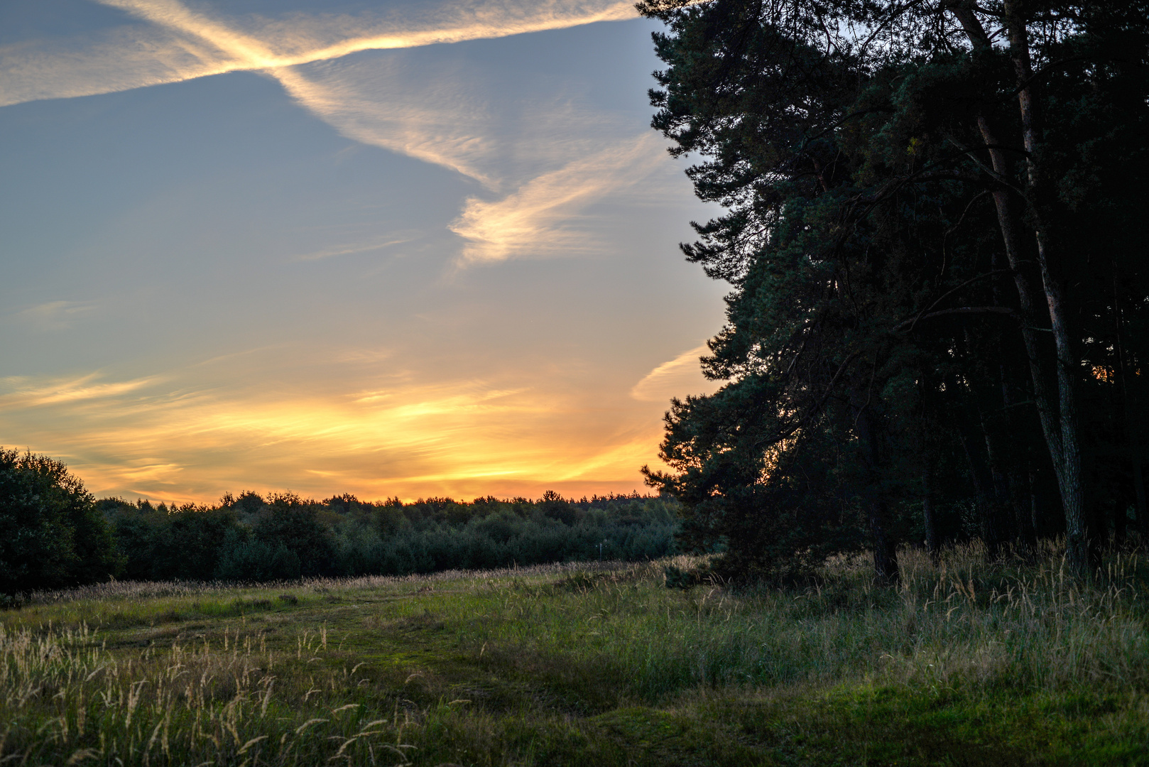 Morgenspaziergang