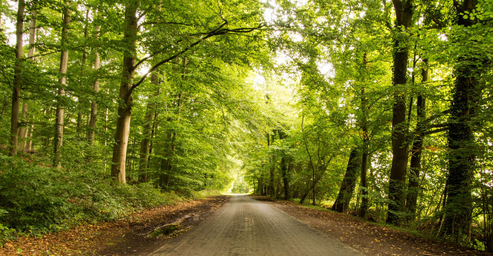 Morgenspaziergang