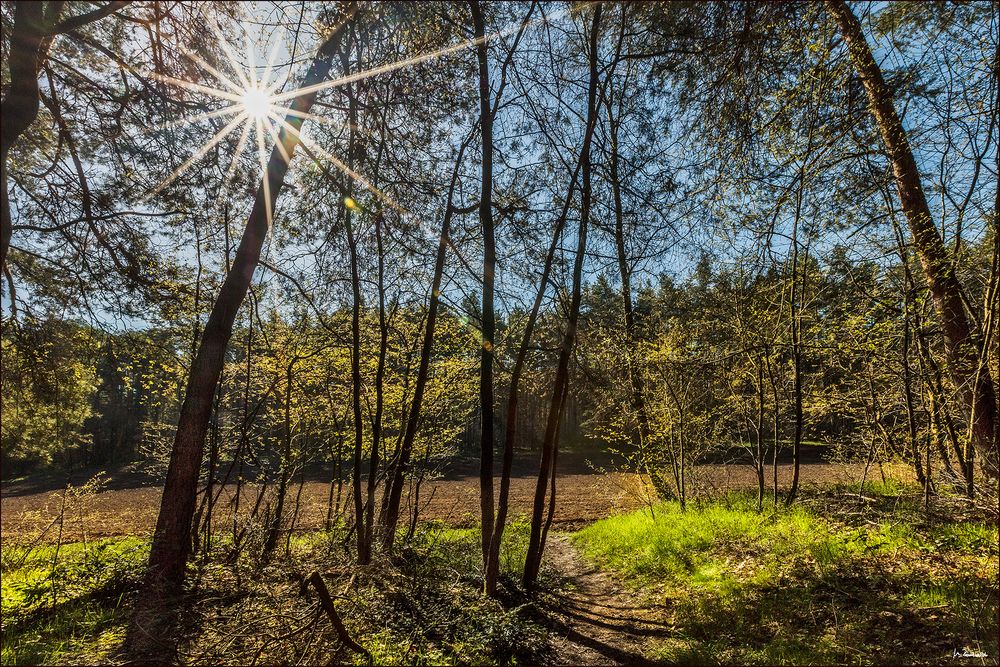 Morgenspaziergang 21.04.2016, 08:55 Uhr